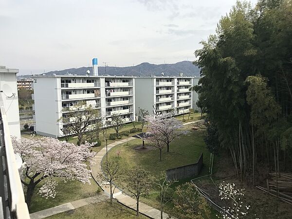 UR釈尊寺第二 ｜大阪府枚方市釈尊寺町(賃貸マンション2LDK・5階・59.34㎡)の写真 その10