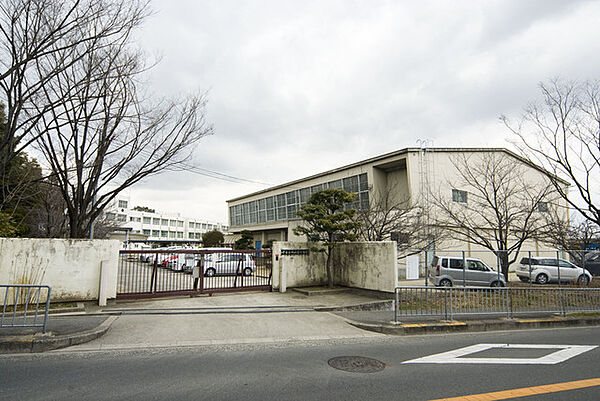 画像17:小学校「堺市立城山台小学校まで725ｍ」