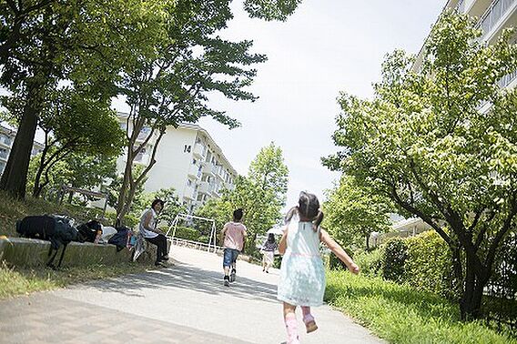 ＵＲ都市機構鈴の宮団地１６号棟_その他_2