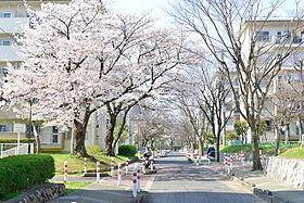 UR金剛  ｜ 大阪府富田林市寺池台4丁目（賃貸マンション3DK・1階・55.45㎡） その12