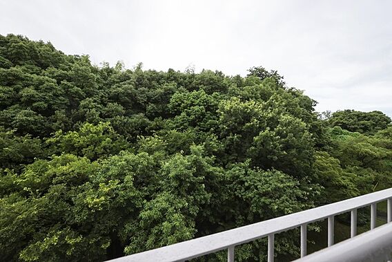 UR都市機構泉南一丘団地70号棟_その他_2