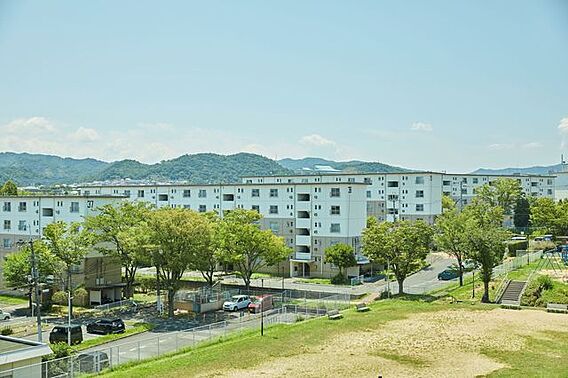 UR都市機構泉南一丘団地28号棟_その他_0