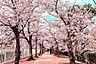 周辺：妙法寺川公園（940m）