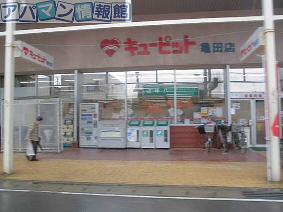 アルブル・カメリア2_周辺_0