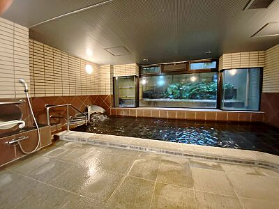 外観:敷地内源泉が魅力のリゾートマンション「スパックス箱根・宮ノ下」温泉大浴場のあるA棟2階の2LDK 外観:敷地内源泉が魅力のリゾートマンション「スパックス箱根・宮ノ下」温泉大浴場のあるA棟2階の2LDK