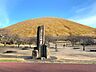 周辺：大室山麓 さくらの里（2898m）