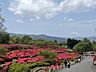 周辺：小室山公園（4154m）