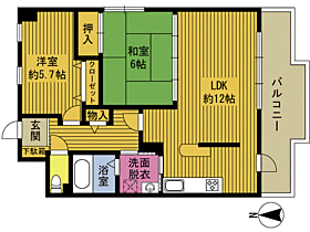 ミラコスタ宮島 202 ｜ 大分県別府市馬場（賃貸マンション2LDK・2階・59.40㎡） その2