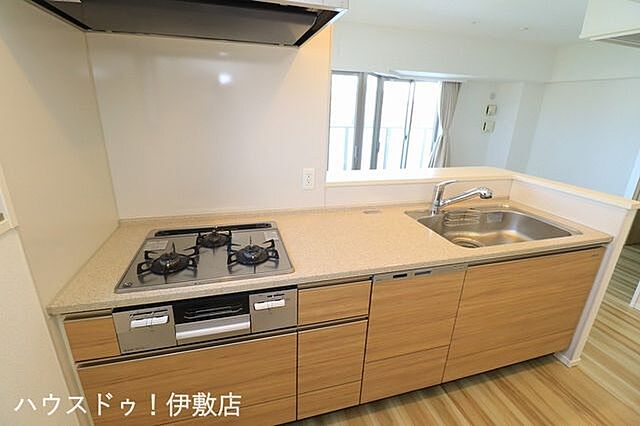 キッチン プレミスト照国表参道 10階/-