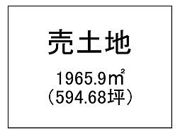 伊集院町郡　売土地