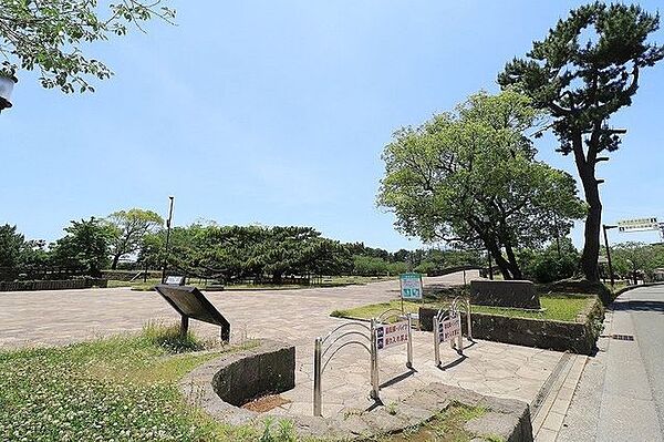 周辺を拡大表示