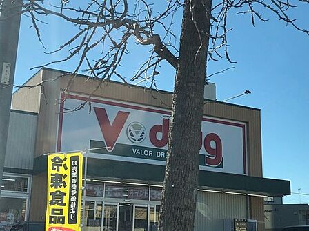 Vドラッグ 豊橋菰口店 880m