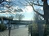 周辺：蝉川公園 300m