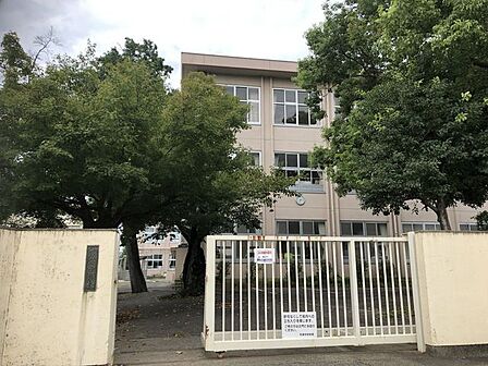 布袋中学校【住宅地が広がる落ち着いた環境に位置し、周辺には布袋小学校などの教育施設も点在する立地。地域の小学校からの進学が多く、地域に見守られながら安心して通学できる公立中学校です。】 1200m