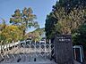 周辺：いの町立枝川小学校 1100m