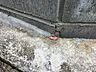 その他：★横浜小学校★