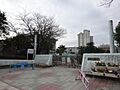 【鹿児島市立松...