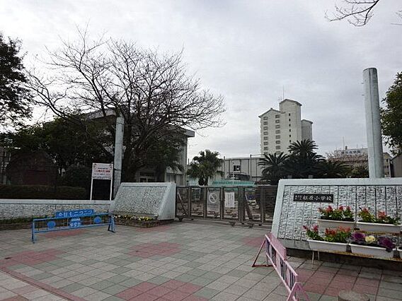 【鹿児島市立松...