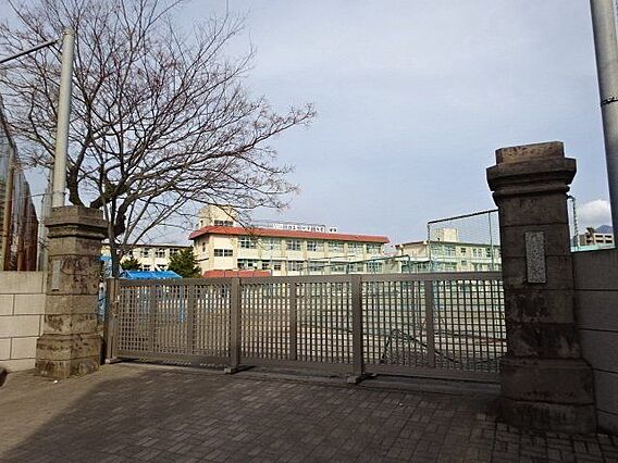 【鹿児島市立天...