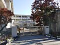 【鹿児島市立城...