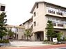 周辺：大津小学校 642m