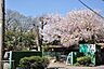 周辺：鈴鹿幼稚園 徒歩7分。 560m