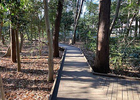 宇都宮記念公園みどりの森 徒歩13分。 1000m