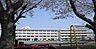 周辺：綾瀬市立落合小学校 徒歩9分。 700m