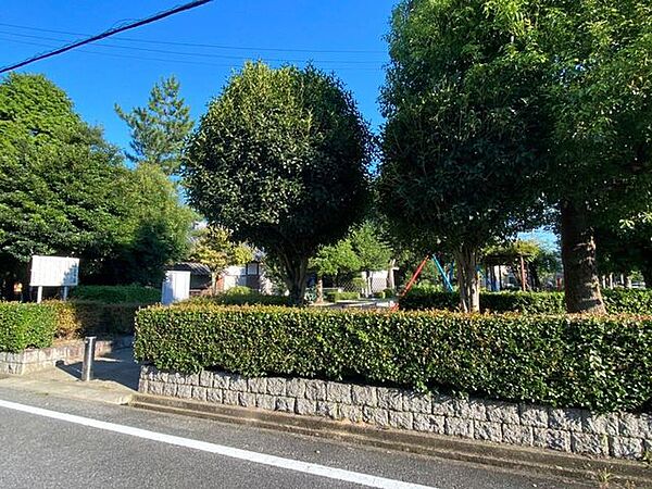 周辺を拡大表示