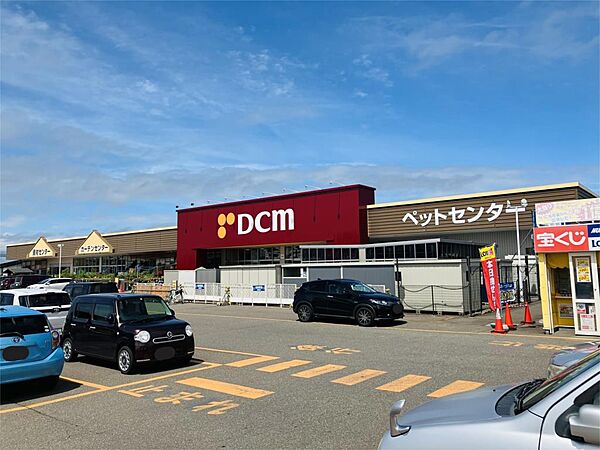 DCM三輪店（555m）