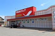 ツルハドラッグ美幌店 調剤（802m）