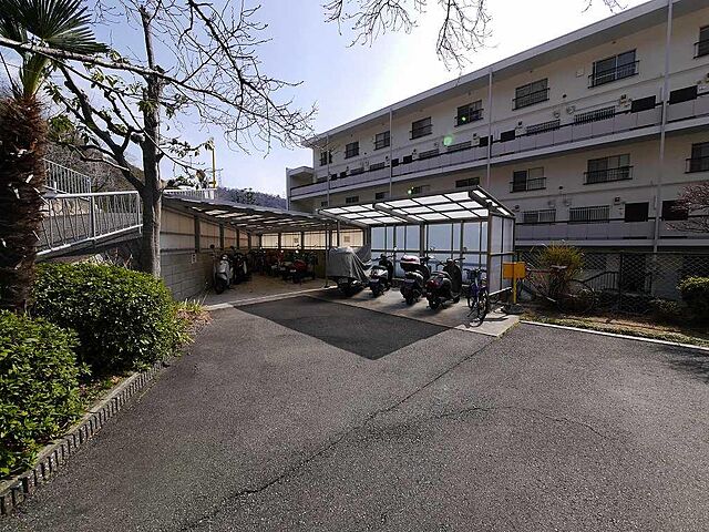 6 / 15