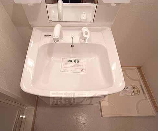 画像10:シャンプードレッサ付きの独立洗面台です。