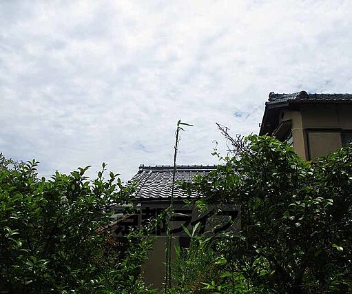 コーポ明津_その他_4