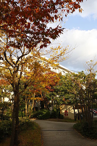 画像12:秋には紅葉がきれいです。