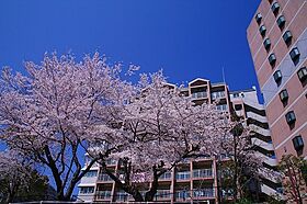 URグリーンヒルズ六甲  ｜ 兵庫県神戸市灘区六甲台町（賃貸マンション1LDK・3階・54.92㎡） その15