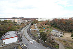 URひよどり台中央  ｜ 兵庫県神戸市北区ひよどり台2丁目（賃貸マンション1LDK・12階・47.79㎡） その3