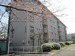 4 / 8
