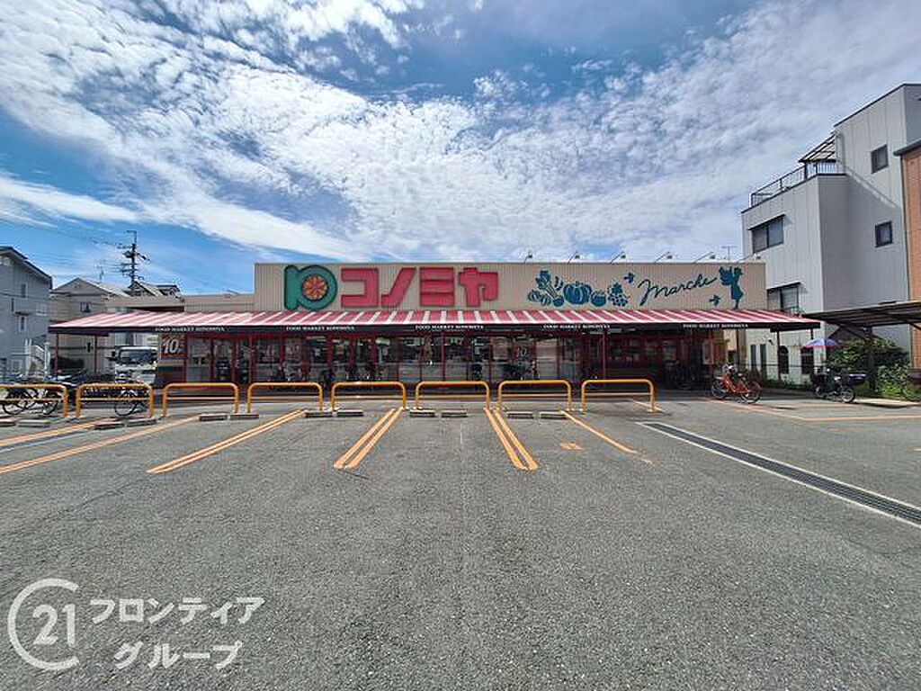 Image 10