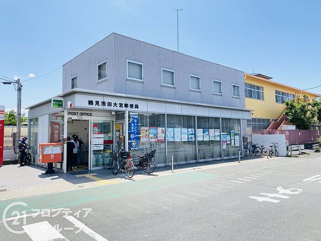 Image 19