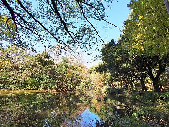 和田堀公園まで...