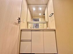 身だしなみのチェックがしやすい大きな鏡、下には収納がたっぷり。スッキリとした空間を演出いたします。