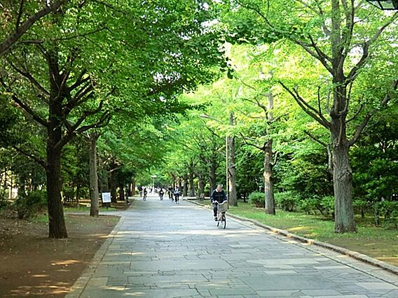 夏の雲公園まで...