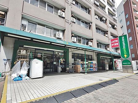 マルエツプチ東池袋五丁目店まで約510m