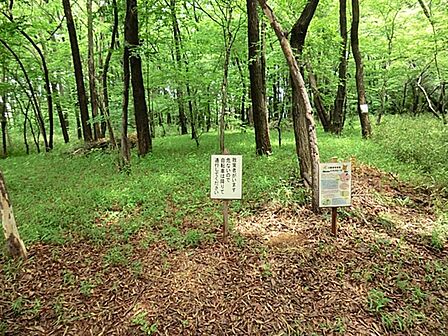 中清戸上組稲荷児童遊園まで約653m