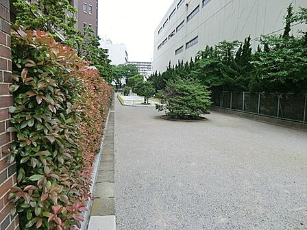 えのき橋児童遊園まで約440m