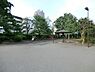 周辺：むくのき公園まで約259m