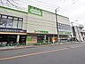 周辺：コープ中野鷺宮店まで約510m