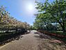 周辺：西東京いこいの森公園まで約363m
