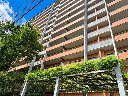 【Exterior】外観